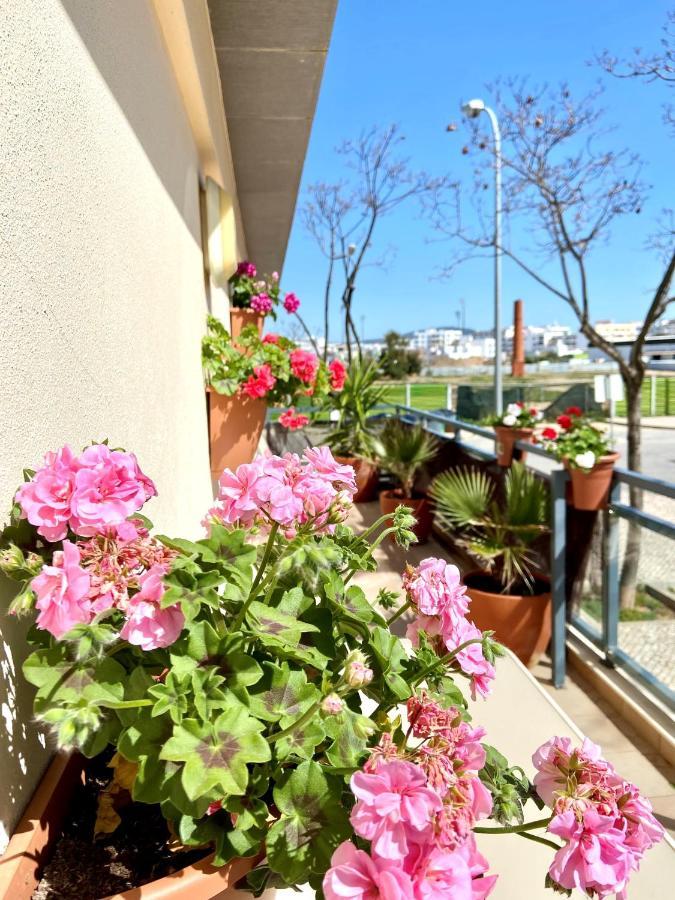 Zenit Luxury Marina Village Appartement オリョン エクステリア 写真